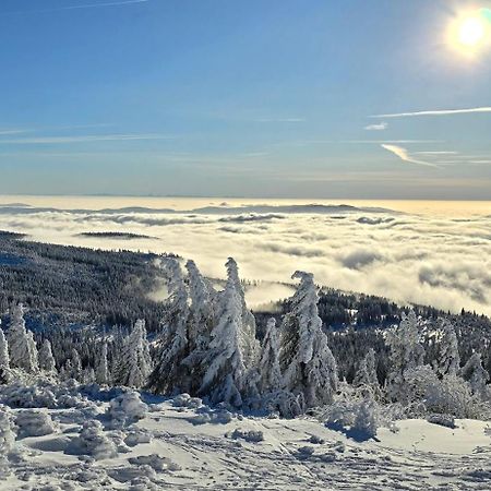 Apartment Am Nationalpark Bayerwald Линдберг Екстериор снимка