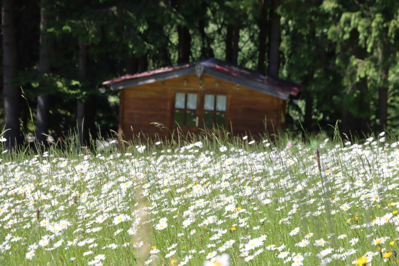 Apartment Am Nationalpark Bayerwald Линдберг Екстериор снимка