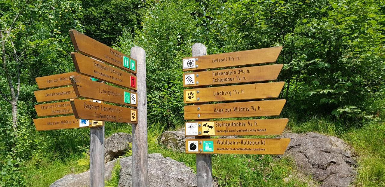 Apartment Am Nationalpark Bayerwald Линдберг Екстериор снимка