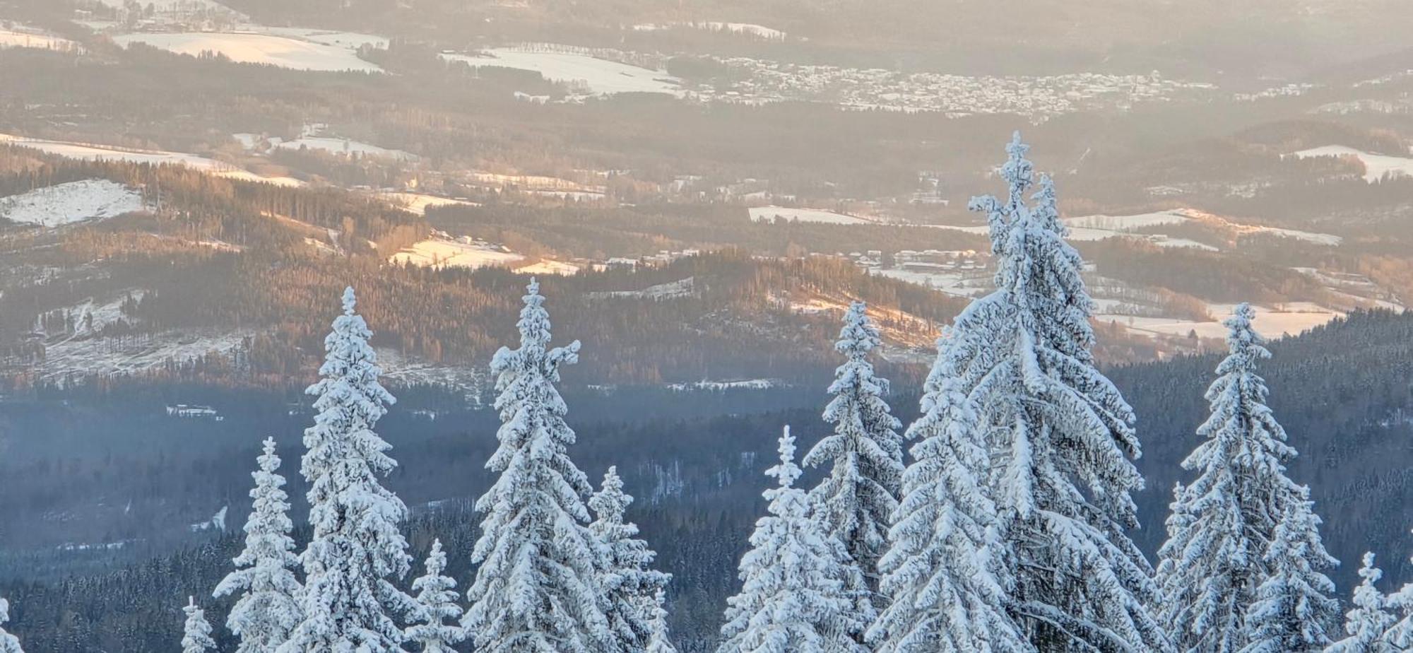 Apartment Am Nationalpark Bayerwald Линдберг Екстериор снимка