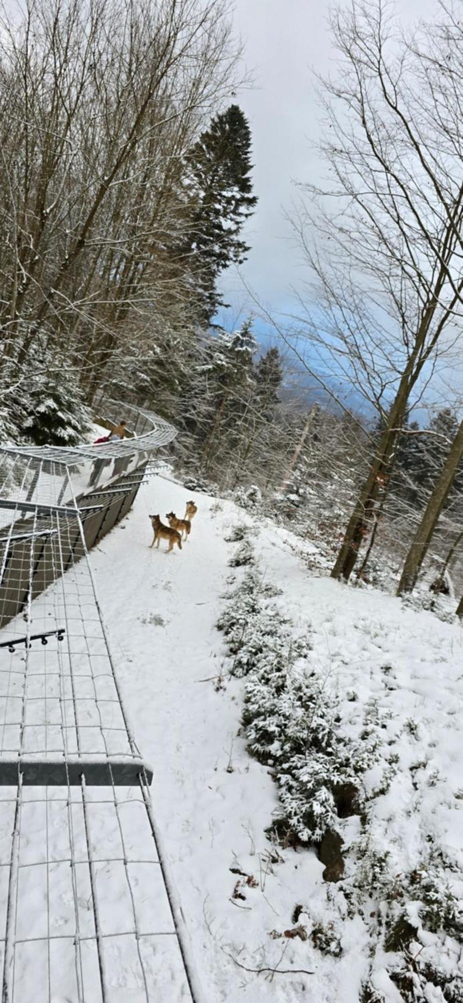Apartment Am Nationalpark Bayerwald Линдберг Екстериор снимка